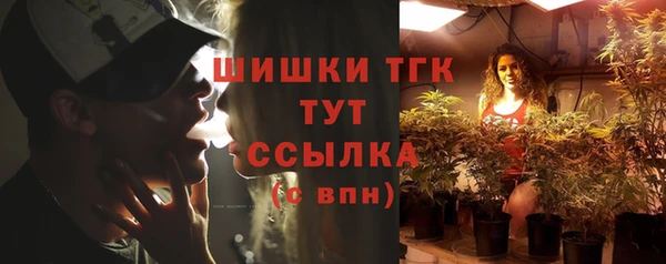 хмурый Вязьма