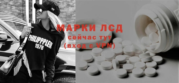 индика Горно-Алтайск