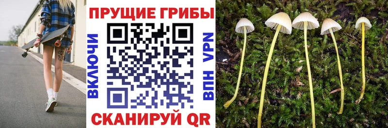 Галлюциногенные грибы прущие грибы  Купить где  Новая Ляля 